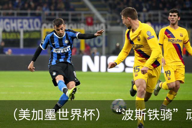 （美加墨世界杯）“波斯铁骑”顽强两连平 伊朗队期待更进一步